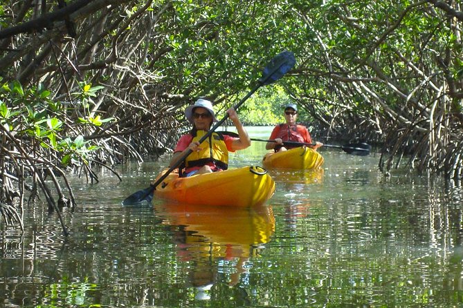 Guided Kayak Eco Tour - Bunche Beach - How much value do you get for $69.95?