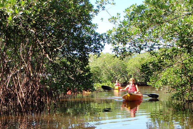 Guided Kayak Eco Tour - Bunche Beach - Booking, cancellation, and simple preparation tips