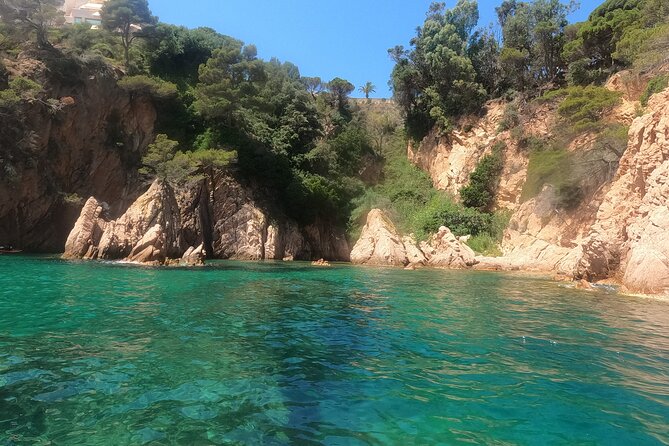 Guided Kayak & Snorkel tour to Costa Brava: Small Group and Lunch - Snorkeling and local wildlife