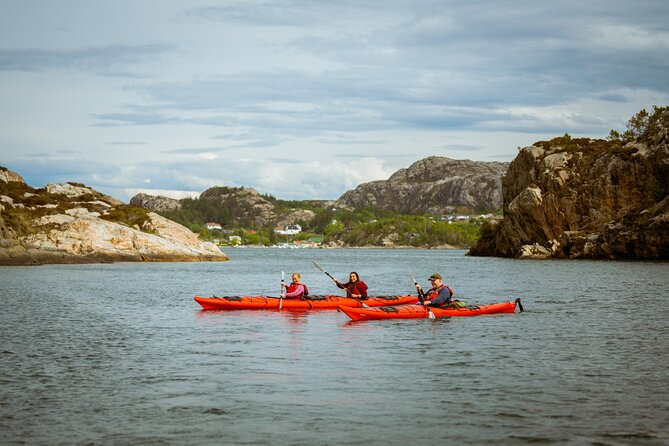 Guided Kayak Tour Bergen - Two hours among sea birds and small islands