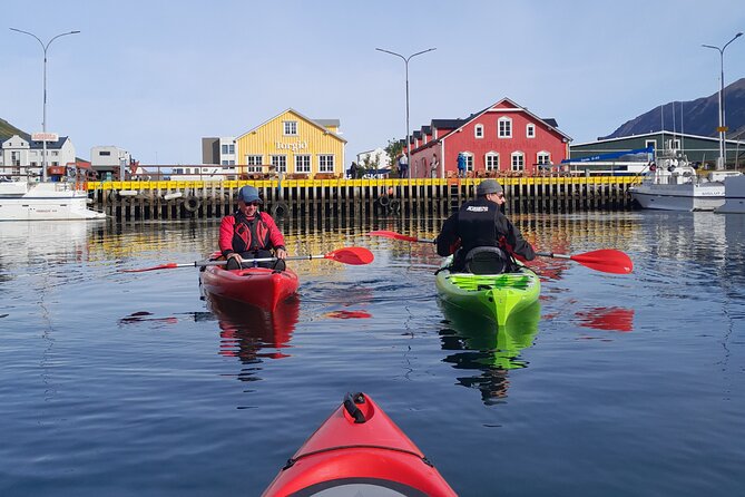 Guided kayak tour in Siglufjörður / Siglufjordur. - Key points to know before booking