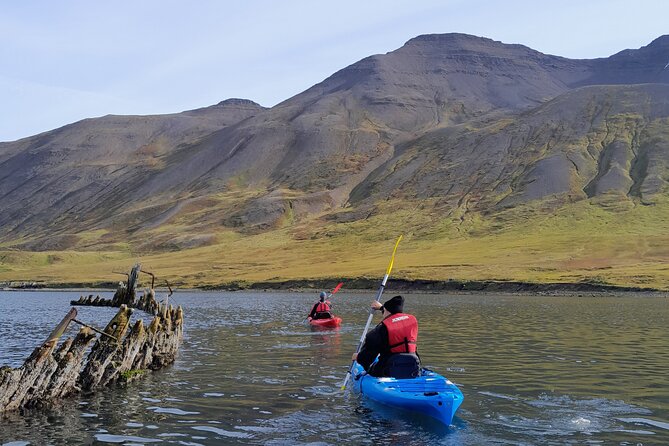 Guided kayak tour in Siglufjörður / Siglufjordur. - Why Siglufjörður works so well by kayak
