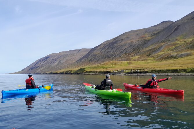 Guided kayak tour in Siglufjörður / Siglufjordur. - Local stories, geology, and the town of Fjallabyggð