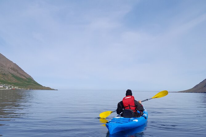 Guided kayak tour in Siglufjörður / Siglufjordur. - How the $97.43 price measures up