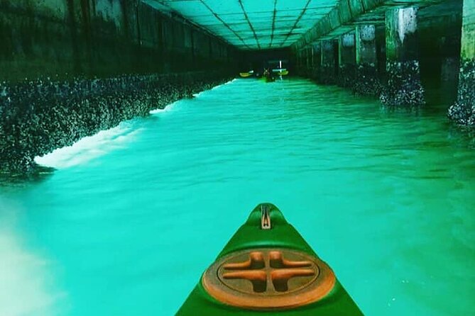 Guided Kayaking in Hout Bay - Is Two Hours Enough?