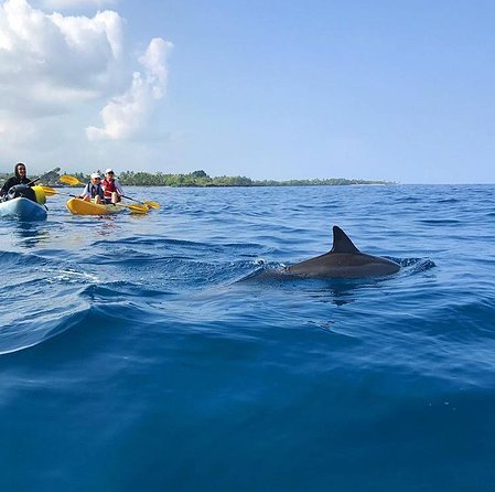 Guided Outrigger Canoe Tour in Kealakekua Bay - Snacks, drinks, and the small comforts
