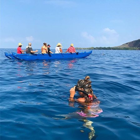 Guided Outrigger Canoe Tour in Kealakekua Bay - Who will enjoy this canoe tour most?