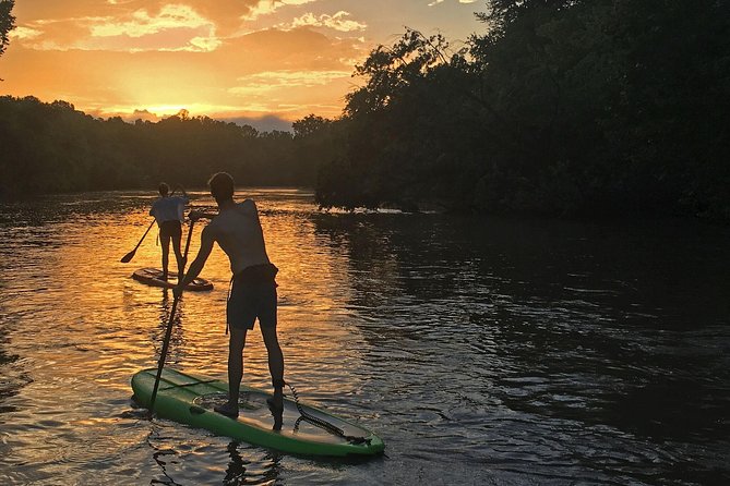 Guided Paddleboard Tour Through Asheville's River Arts District - Four Miles Through Forest, Parkland, and Streams
