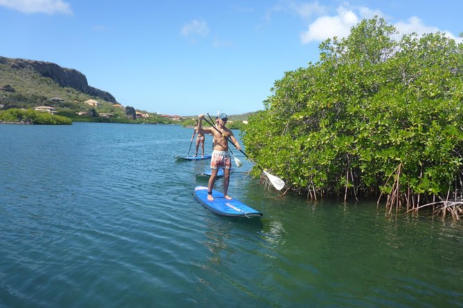 Guided paddleboarding (SUP) mangrove ECO tour for beginners - The mangrove break and the open-water return