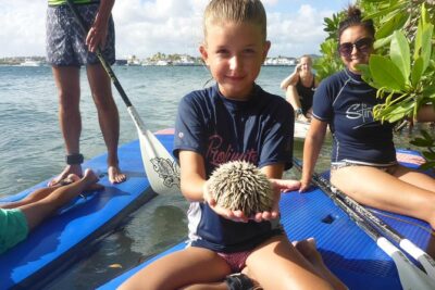 Guided paddleboarding (SUP) mangrove ECO tour for beginners