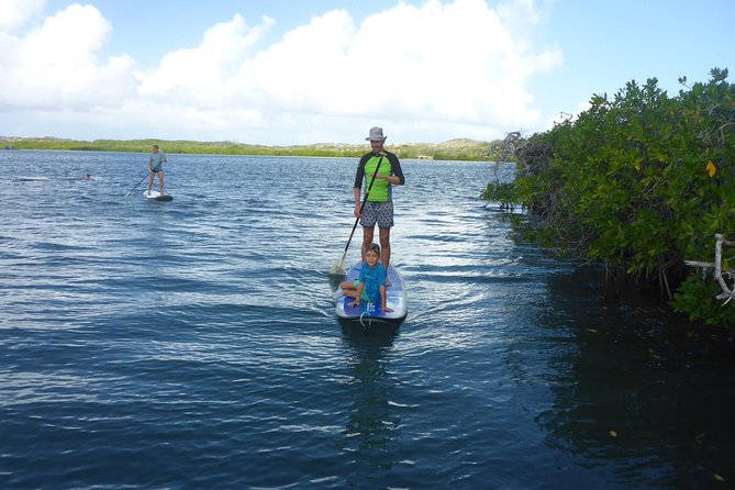 Guided paddleboarding (SUP) mangrove ECO tour for beginners - Passing Spanish Water villas on the way back