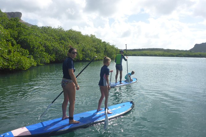 Guided paddleboarding (SUP) mangrove ECO tour for beginners - What is included for the $65 price?