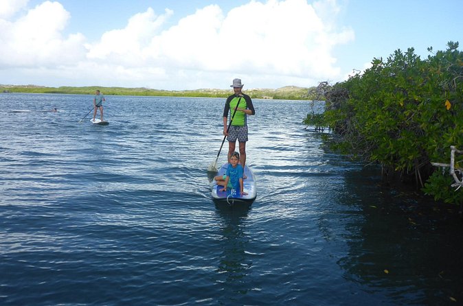 Guided paddleboarding (SUP) mangrove ECO tour for beginners - Pickup, meeting point, and group details
