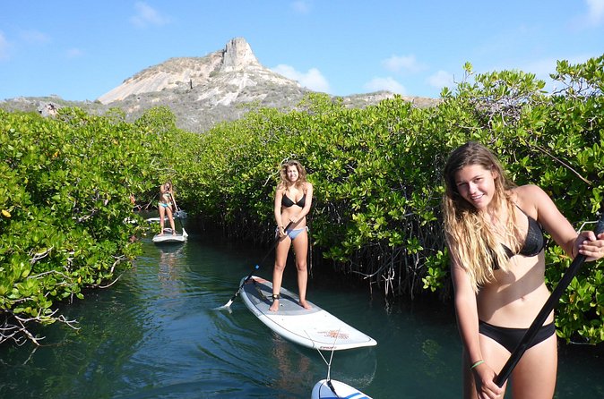 Guided paddleboarding (SUP) mangrove ECO tour for beginners - The guides and the feel of the experience