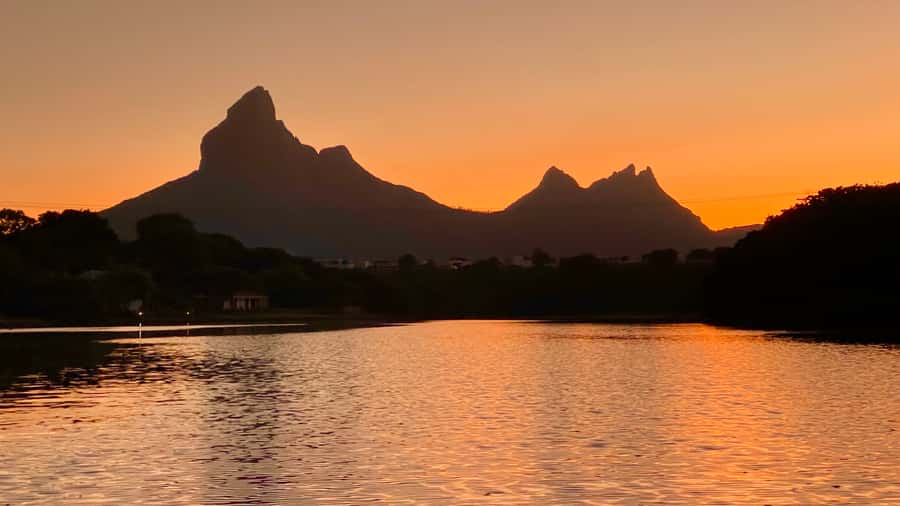 Guided Sundowner Kayak Tour - What makes this tour good value at $64