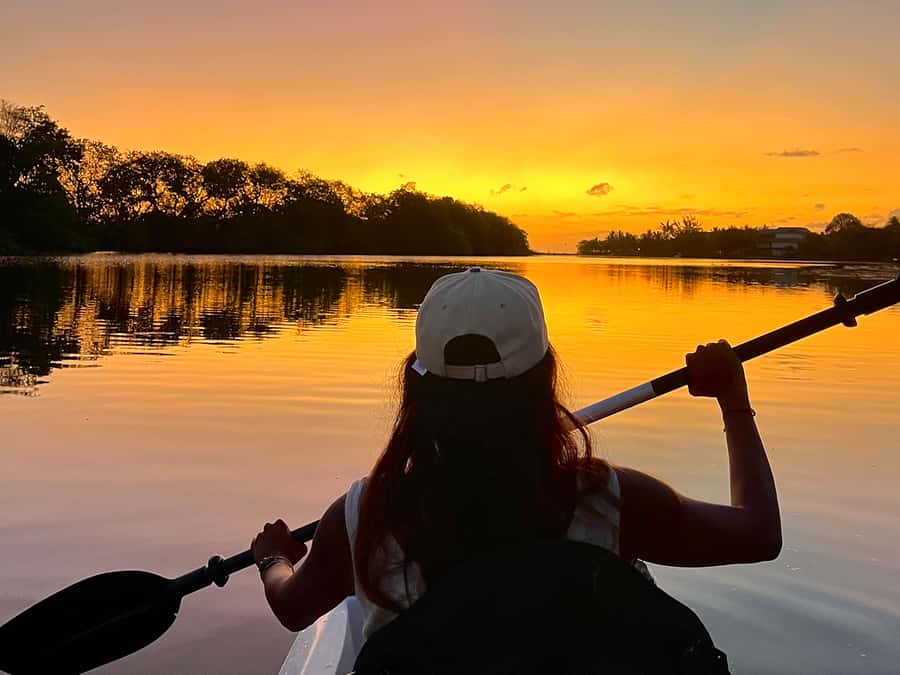 Guided Sundowner Kayak Tour - Paddling upriver as the afternoon quiets