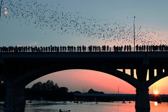 Guided Sunset Bat Kayak Tour in Austin - Stevie Ray Vaughan and the downtown views