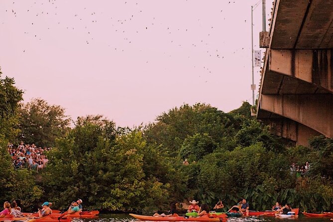 Guided Sunset Bat Kayak Tour in Austin - How the guides shape the evening