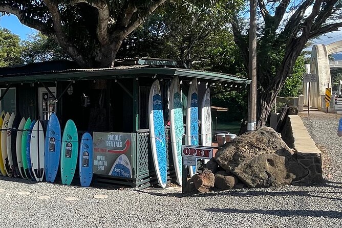 Haleiwa River Paddle Board Rental with Blue Planet Adventure Co. - Who will enjoy this Haleiwa rental?