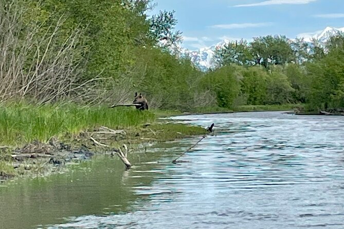 Half-Day Guided Kayak Tour on Knik River - Floating Back Along the Knik River