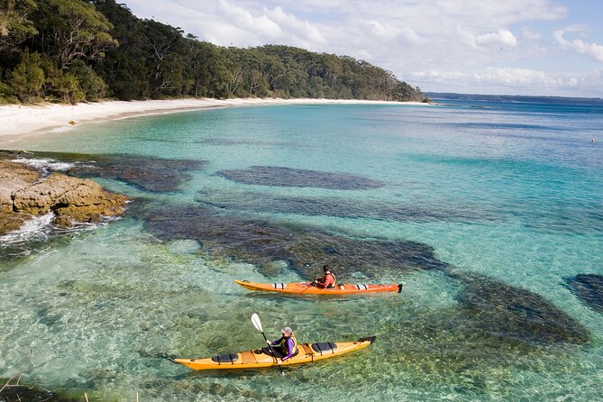 Half-Day Jervis Bay Sea Kayak Tour - Key points at a glance