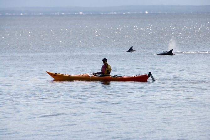 Half-Day Jervis Bay Sea Kayak Tour - Why Jervis Bay works so well from a kayak