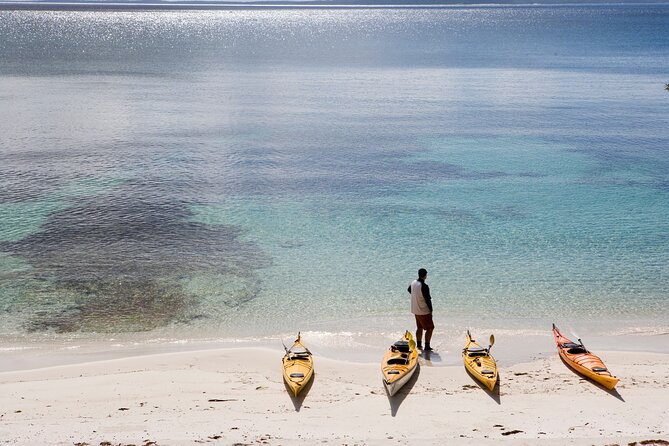 Half-Day Jervis Bay Sea Kayak Tour - Murrays Beach and Bowen Island by kayak
