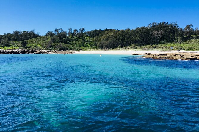 Half-Day Jervis Bay Sea Kayak Tour - What makes Dane such an important part of the trip