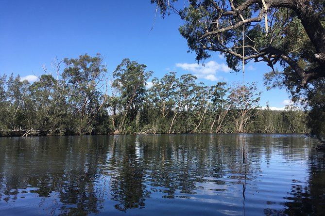 Half-Day Jervis Bay Sea Kayak Tour - What the $104 price really covers