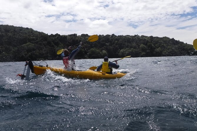 Half-Day Kayak to the Maori Rock Carvings in Lake Taupo - Setting out from Acacia Bay