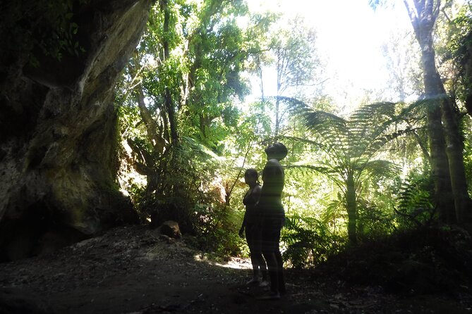 Half-Day Kayak to the Maori Rock Carvings in Lake Taupo - How hard is the 10-kilometre paddle?