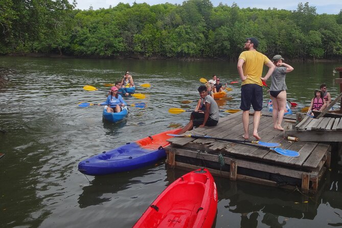 Half day Mangrove by Kayaking or Longtail boat from Koh Lanta - What this mangrove trip is really like