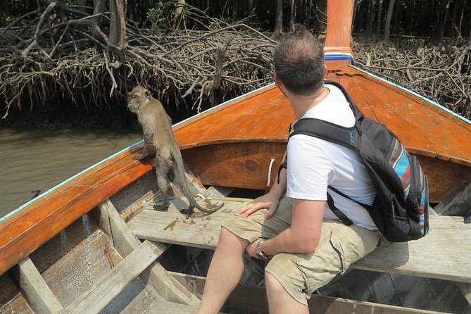 Half day Mangrove by Kayaking or Longtail boat from Koh Lanta - Monkey Point and close animal encounters