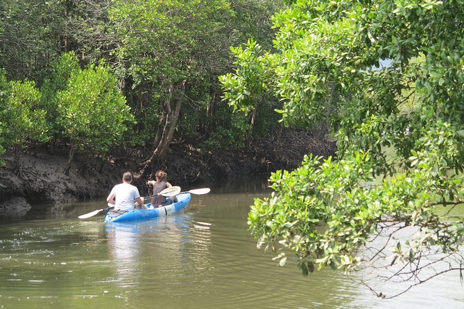Half day Mangrove by Kayaking or Longtail boat from Koh Lanta - The guide makes a major difference