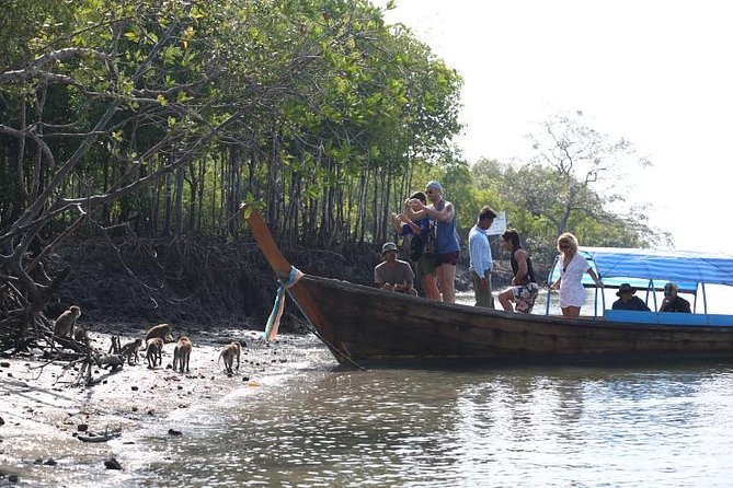 Half day Mangrove by Kayaking or Longtail boat from Koh Lanta - Is $24.34 a good value?