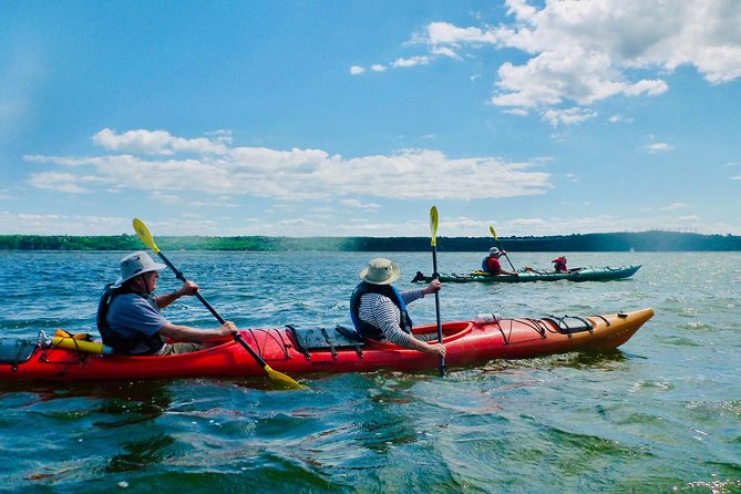 Half-Day Orleans Island Small-Group Sea Kayaking Tour - From Quebec City to the Saint-Laurent launch point