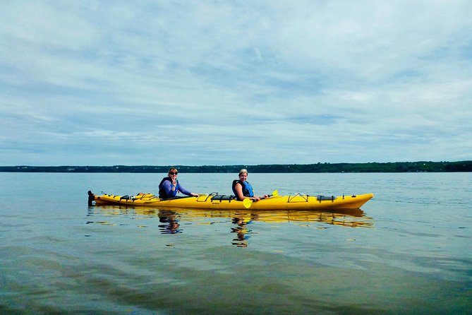 Half-Day Orleans Island Small-Group Sea Kayaking Tour - What the small group changes