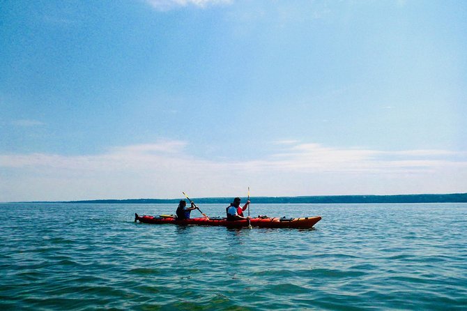 Half-Day Orleans Island Small-Group Sea Kayaking Tour - Is the price of $59.20 good value?