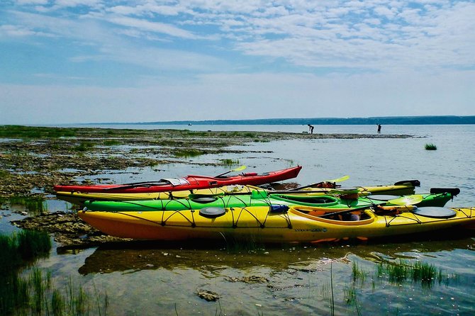 Half-Day Orleans Island Small-Group Sea Kayaking Tour - Language, age, and physical demands