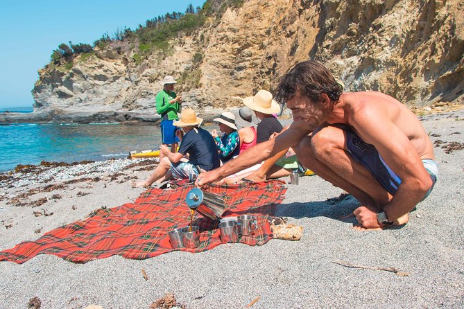 Half Day Sea Kayak Tour from Batemans Bay with Morning Tea - Secluded beaches, rock jumps, and optional water time