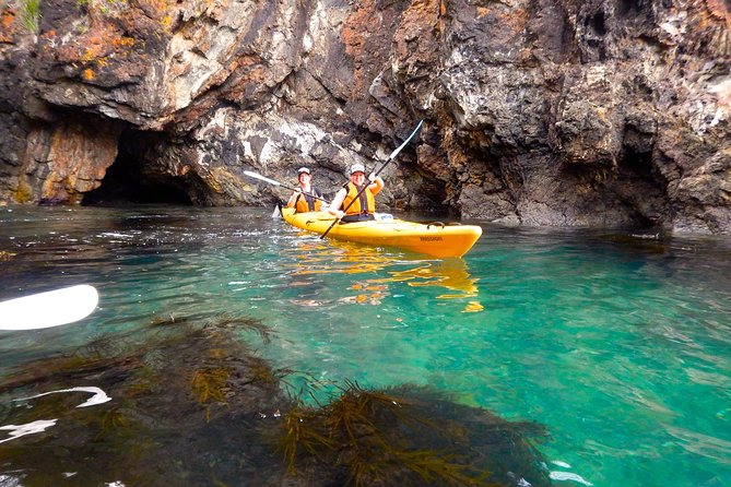 Half Day Sea Kayak Tour from Batemans Bay with Morning Tea - How strenuous is the five-hour outing?