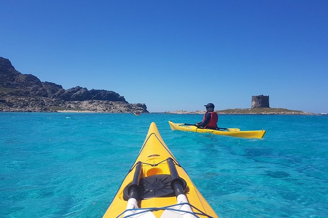 Half Day Sea Kayak Trip - Key things to know before you book