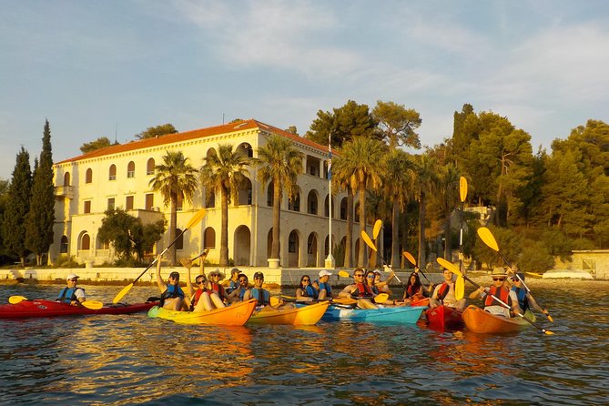Half-Day Split Sea Kayak Adventure - Price, value, and who should book