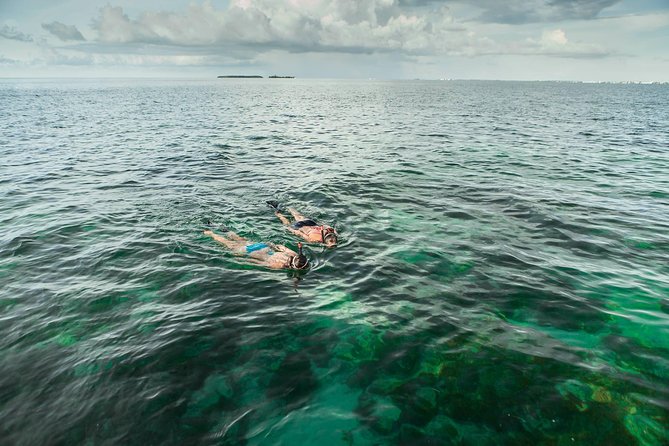 Half-Day Trip from Key West with Kayaking, Snorkeling & Sunset - Kayaking through mangrove channels