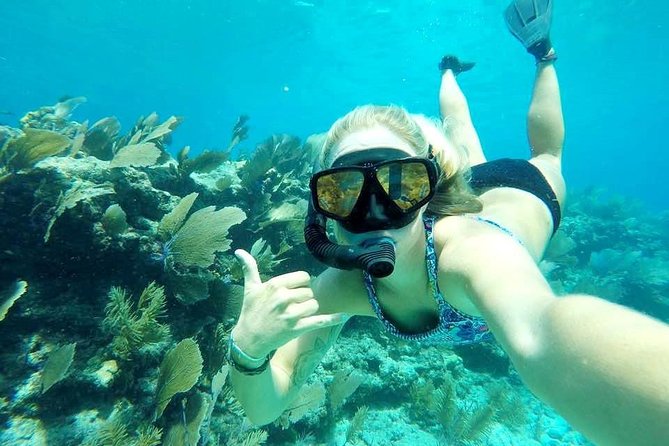 Half-Day Trip from Key West with Kayaking, Snorkeling & Sunset - Group size, crew, and pace