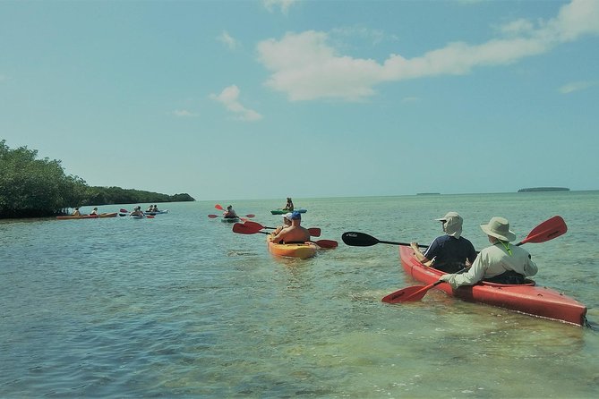 Half-Day Trip from Key West with Kayaking, Snorkeling & Sunset - Snorkeling in the Florida Keys National Marine Sanctuary