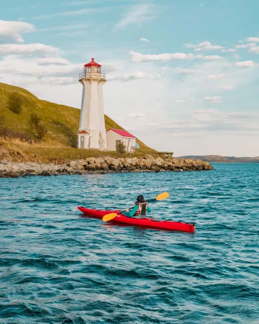 Halifax: Guided Kayak Tour with Multiple Options - Why Halifax Harbour works so well by kayak