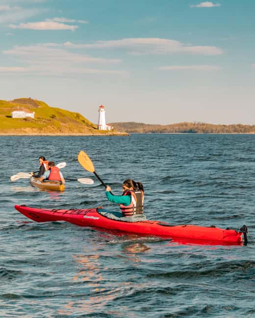 Halifax: Guided Kayak Tour with Multiple Options - Who should book this Halifax kayak tour