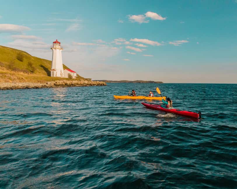Halifax: Guided Kayak Tour with Multiple Options - The 90-minute classic Sea Kayak Tour
