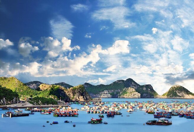 Halong Bay 2D1N BEST CRUISES All-Inclusive: Transfer, Meals, Kayak, Cave, Island - Key things to know before booking